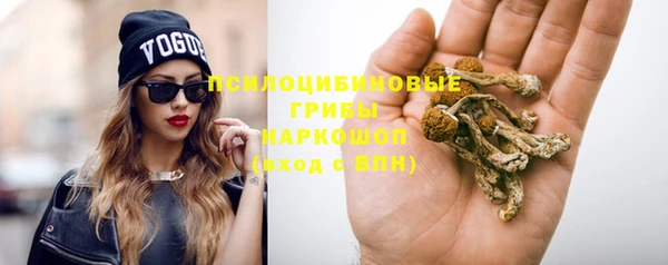 прущая мука Покачи