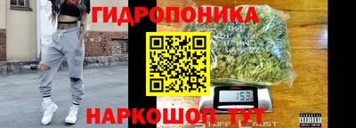 ГАЛЛЮЦИНОГЕННЫЕ ГРИБЫ Гусев