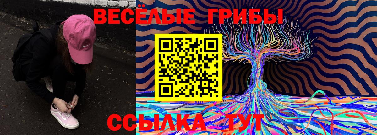 Москва  Псилоцибиновые грибы Psilocybine cubensis  Галлюциногенные грибы Psilocybine cubensis  цены наркотик  Вход с VPN 