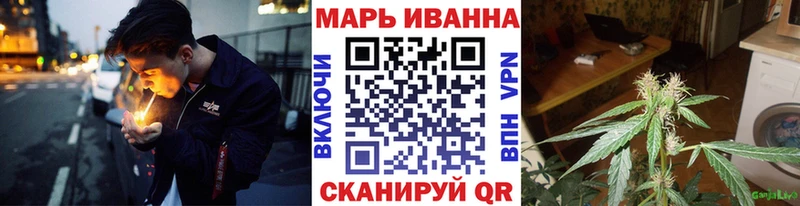 Бошки Шишки планчик  Москва 
